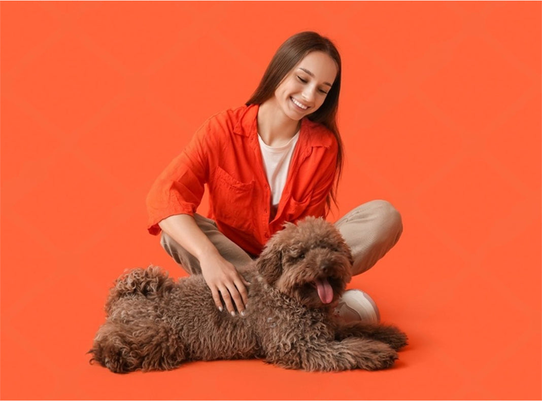 CARING FOR YOUR SMALL BREED DOG’S