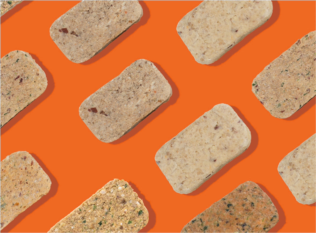 SMALL BREED KIBBLE VS REGULAR DOG FOOD