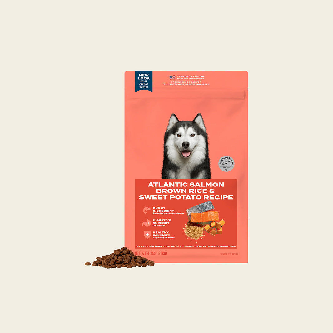 Atlantic salmon dog food