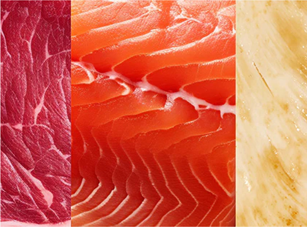 WHAT DOES POULTRY-FREE DOG FOOD MEAN?