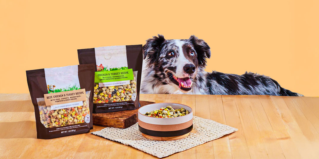 TREATS & SNACKS
