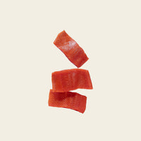Atlantic salmon dog food