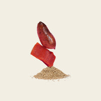 Atlantic salmon dog food