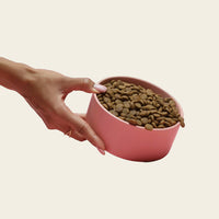 Atlantic salmon dog food