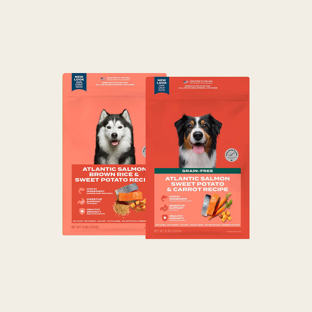 Atlantic salmon dog food sampler