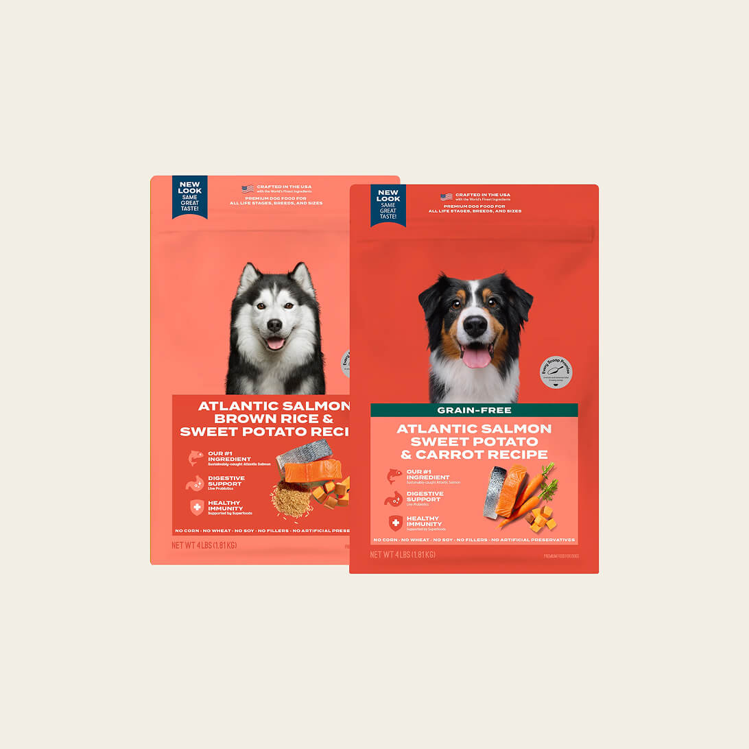 Atlantic salmon dog food sampler