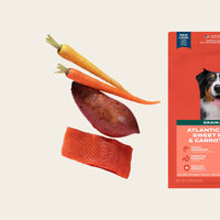 Atlantic salmon dog food sampler