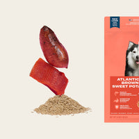Atlantic salmon dog food sampler