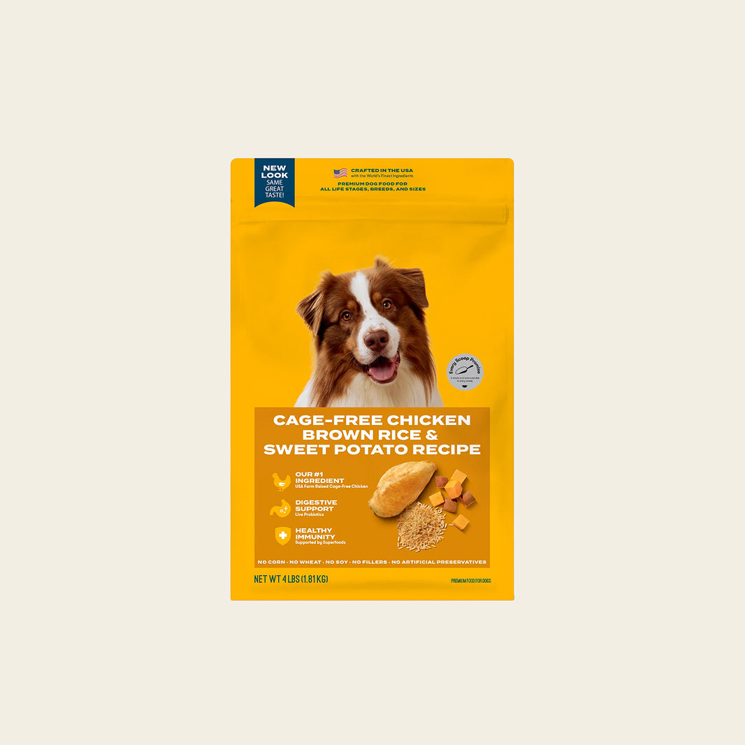 Cage-free chicken dog free