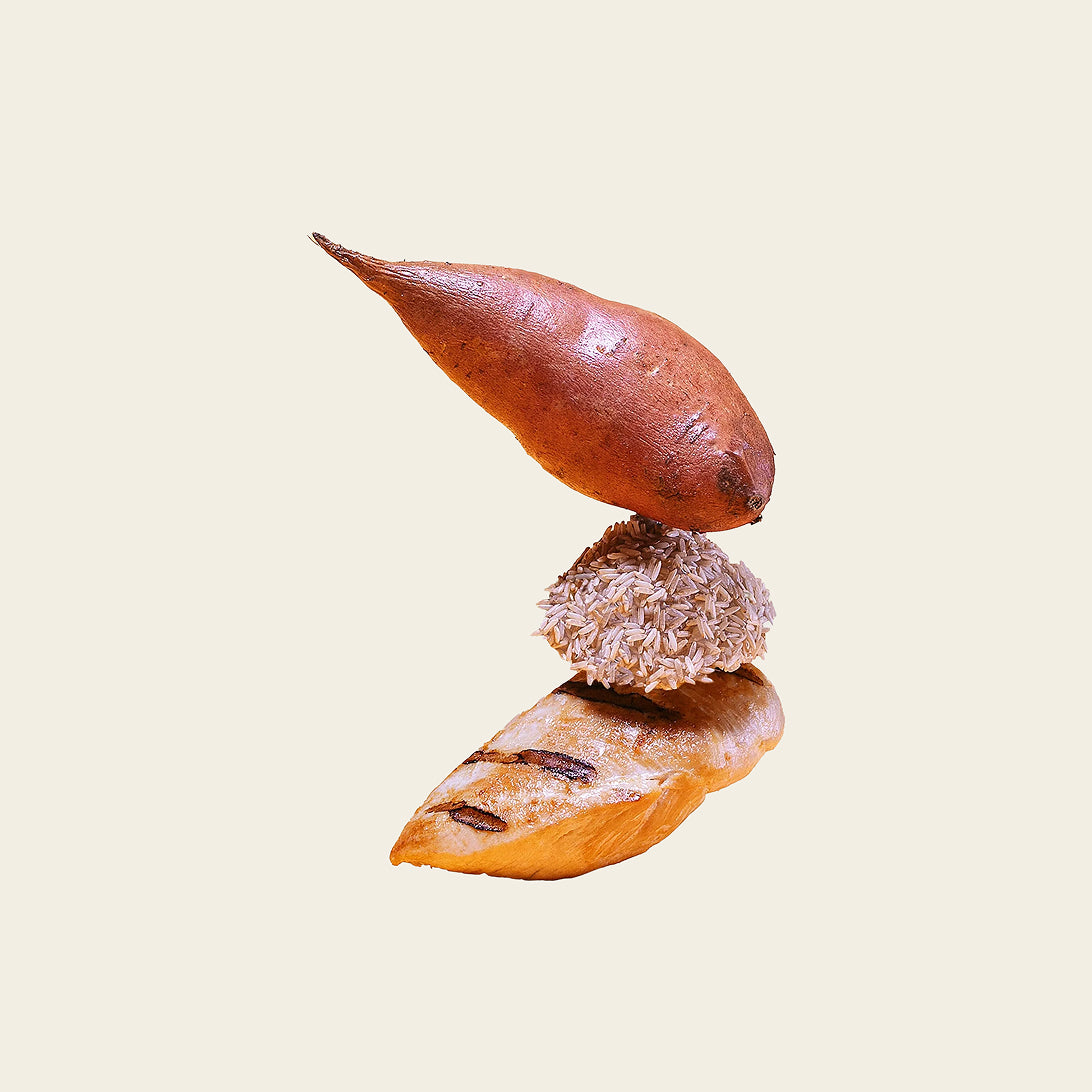 Cage-free chicken dog free