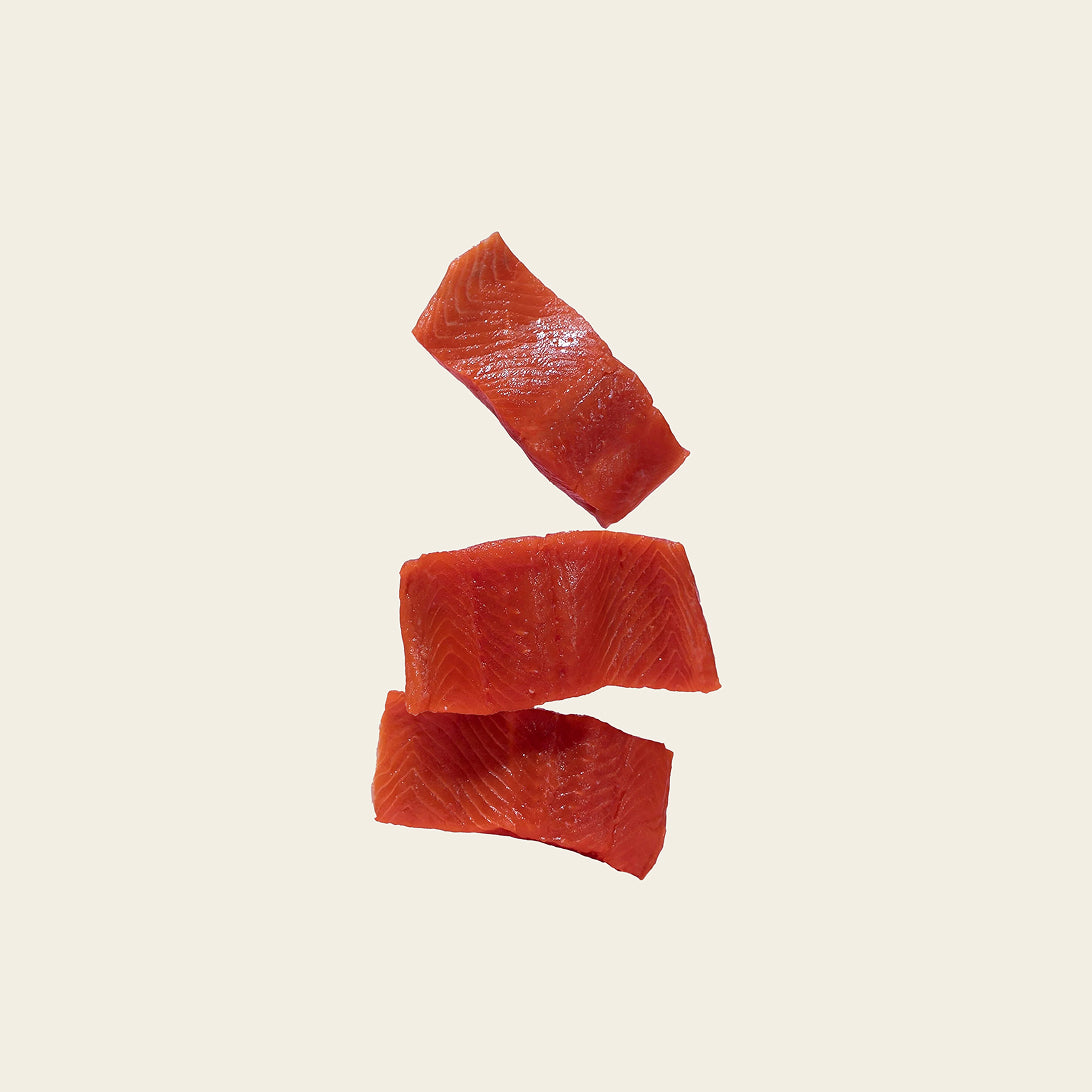 Grain-free Atlantic salmon dog food