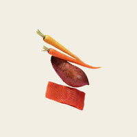 Grain-free Atlantic salmon dog food