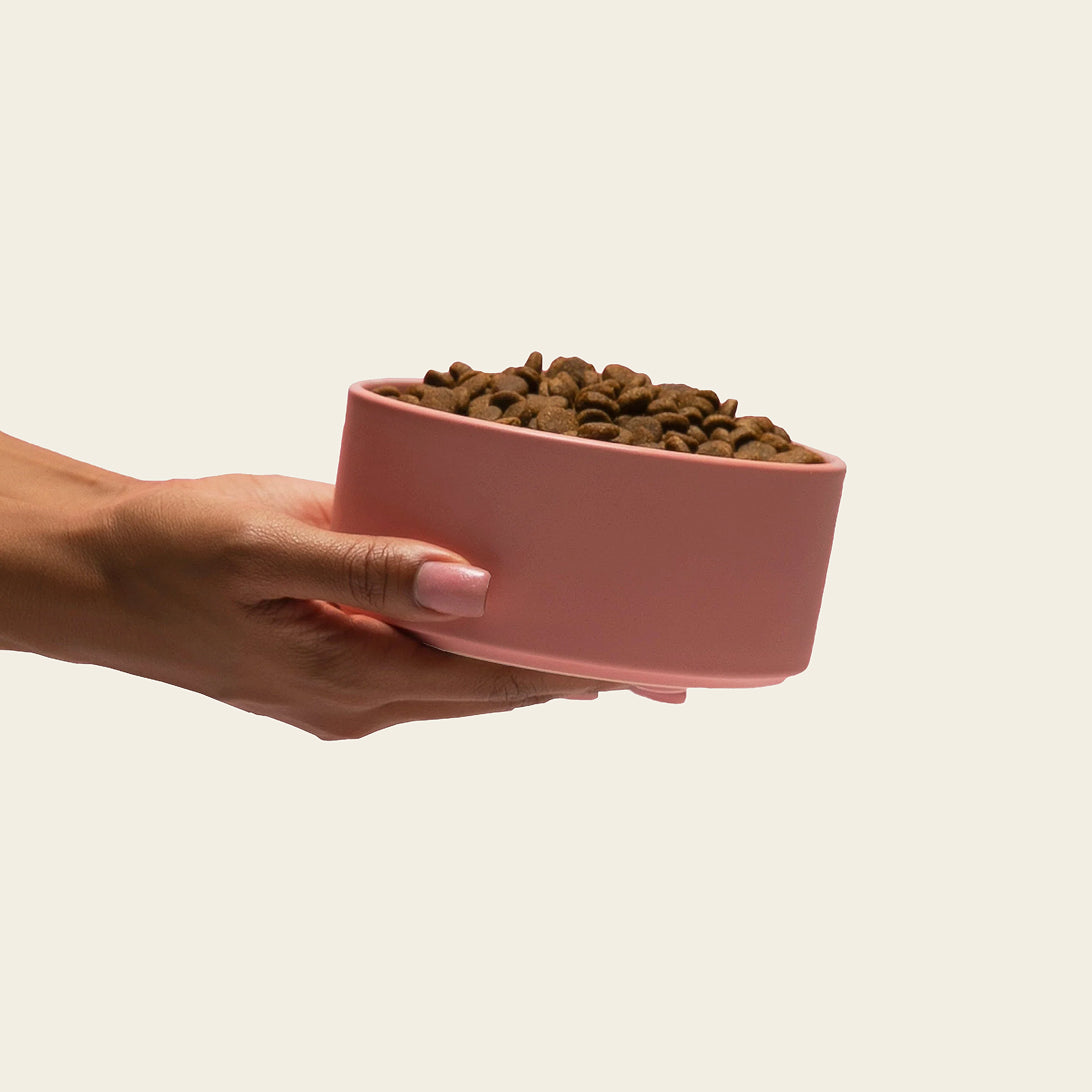 Grain-free Atlantic salmon dog food