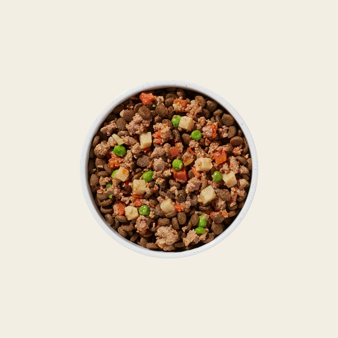 Grain-free beef & chicken homemade