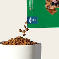 Grain-free dog food sampler