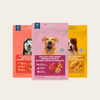 Grain-friendly dog food sampler