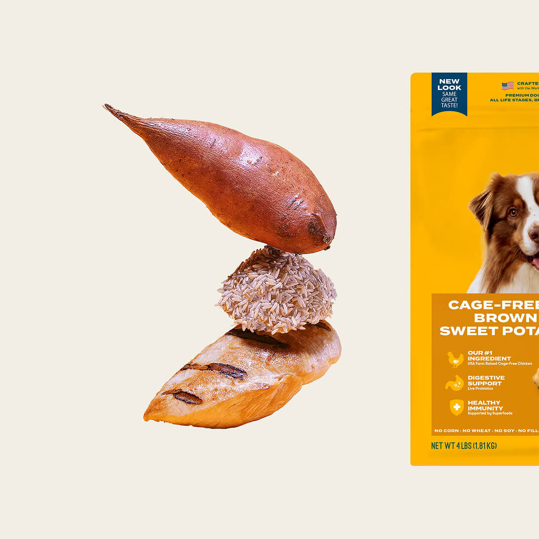 Grain-friendly dog food sampler