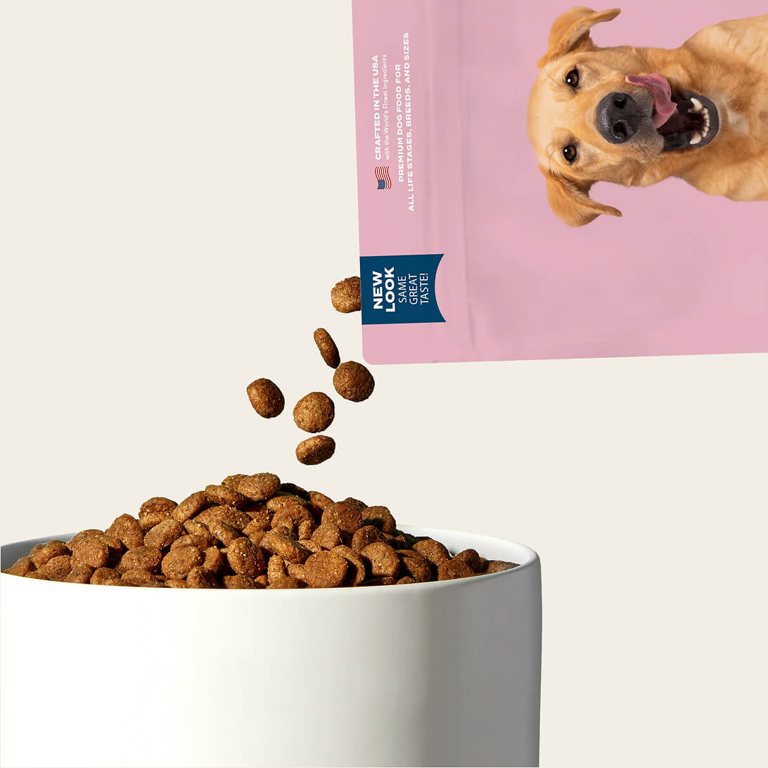 Grain-friendly dog food sampler