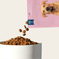 Grain-friendly dog food sampler