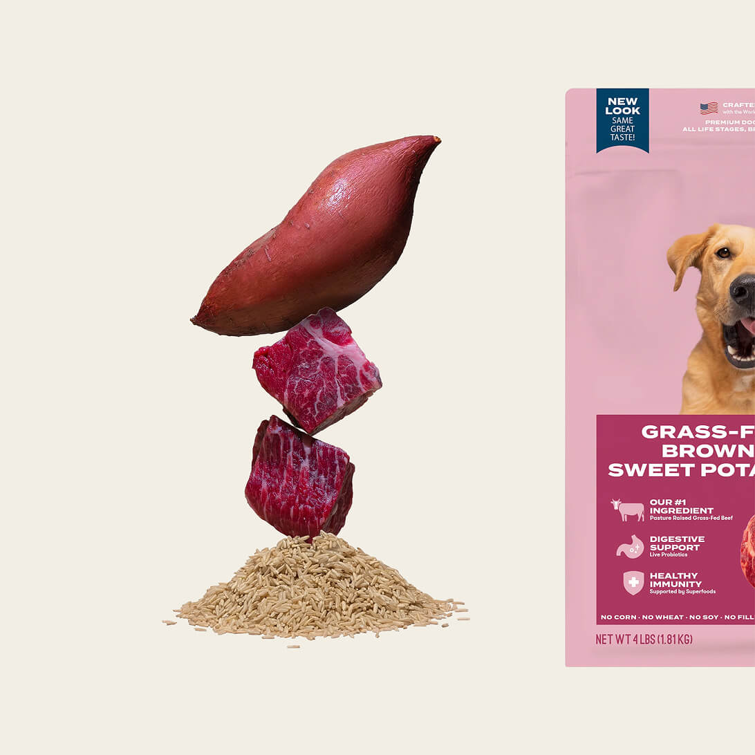 Grain-friendly dog food sampler