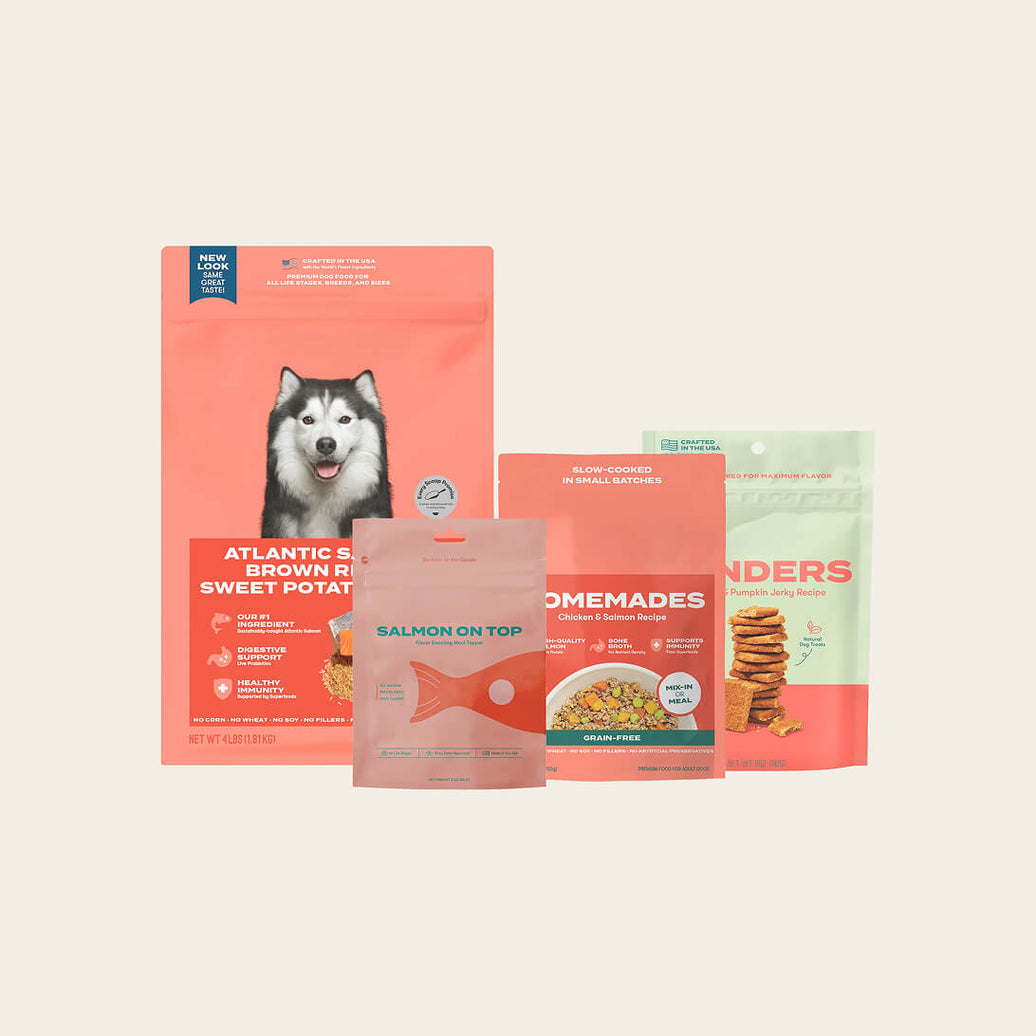 Gran-free Cage-free chicken dog food