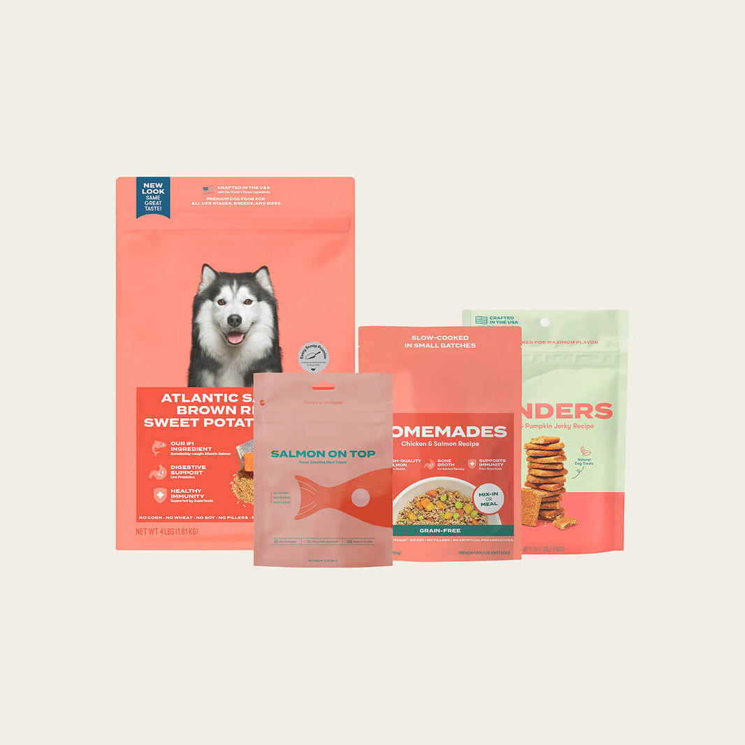 Gran-free Cage-free chicken dog food