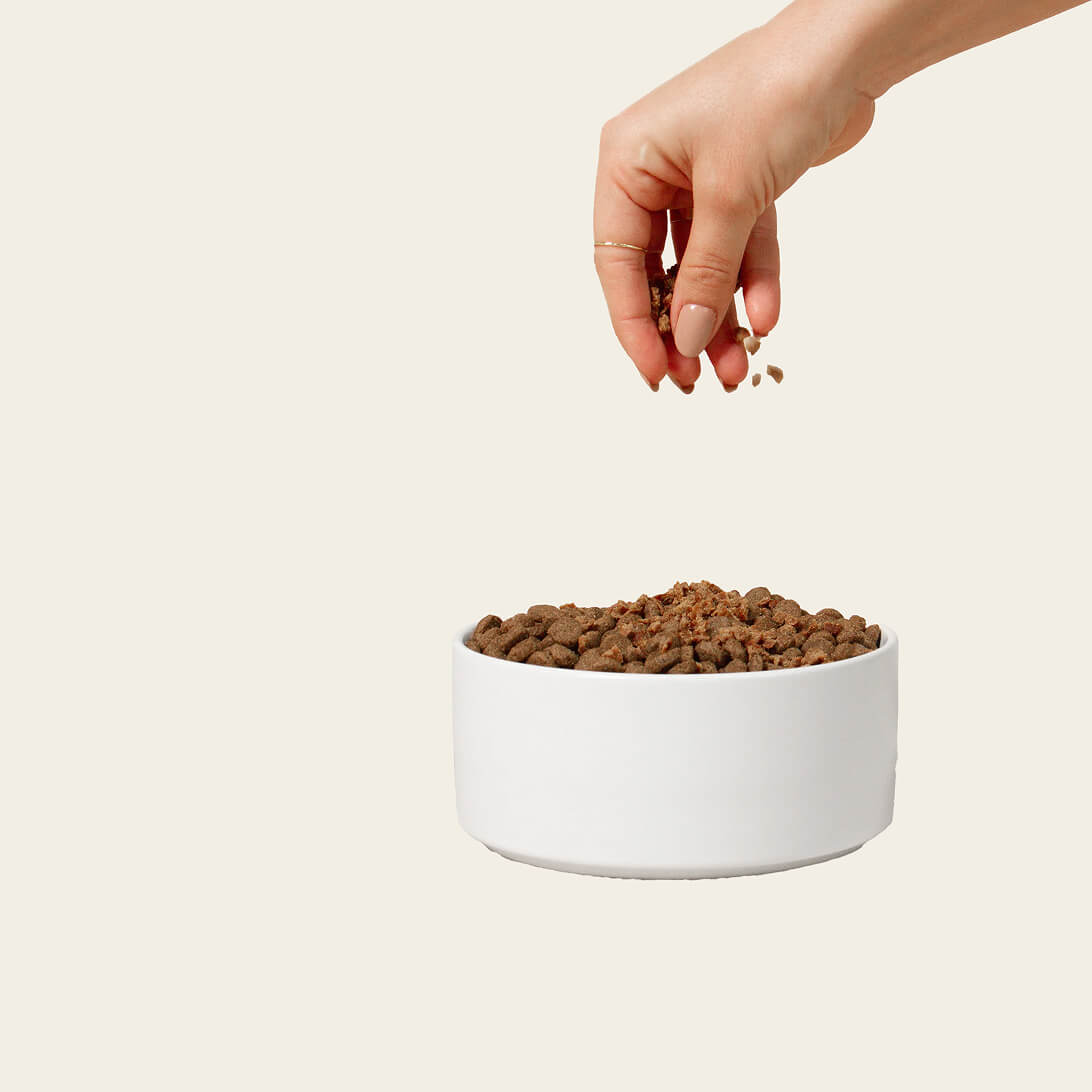Gran-free Cage-free chicken dog food