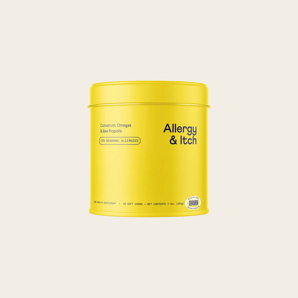 Gran-free beef pate wet dog food