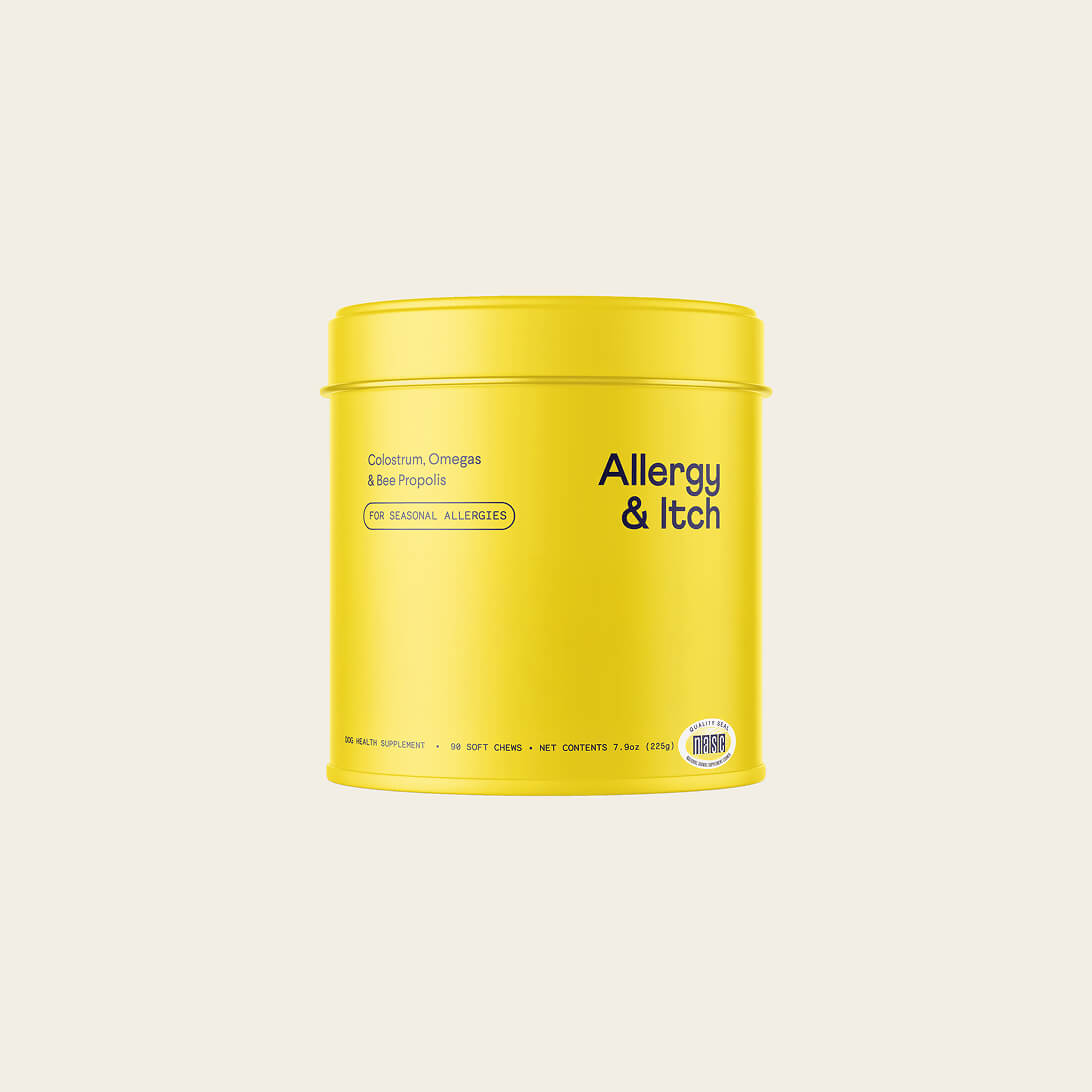 Gran-free beef pate wet dog food
