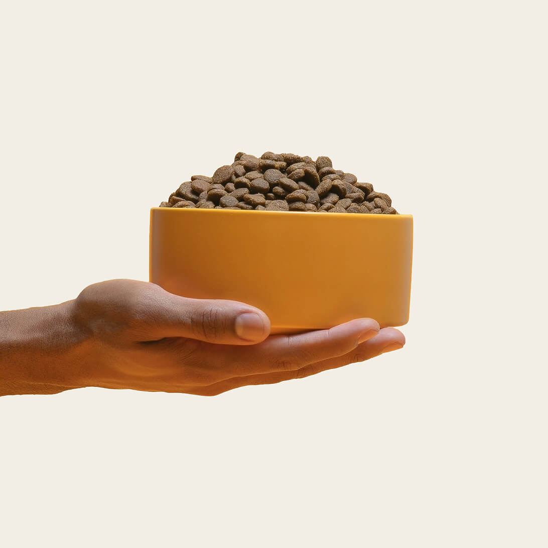 Grass-fed lamb dog food