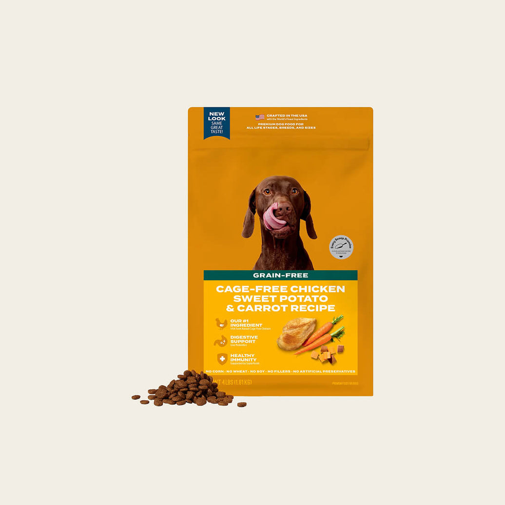 Picky dog essentials starter packs