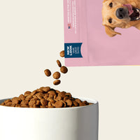 Grass-fed Beef Dog Food