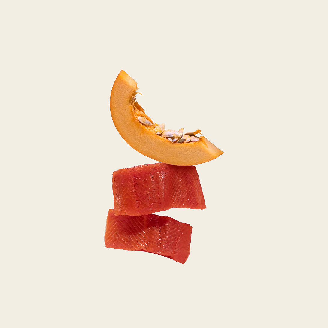 Salmon & Pumkin topper