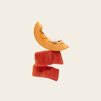 Salmon & Pumkin topper