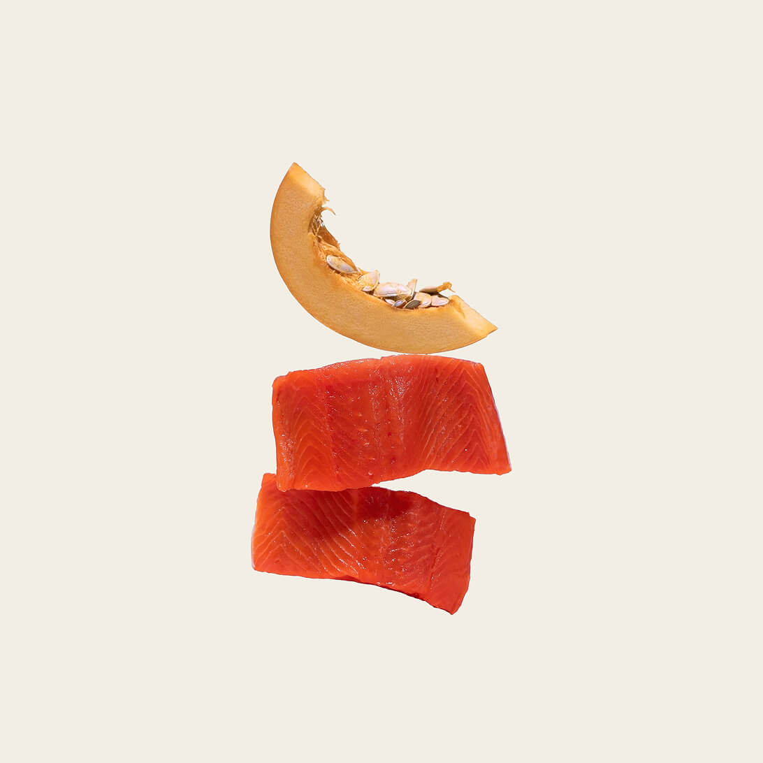 Salmon jerky tenders