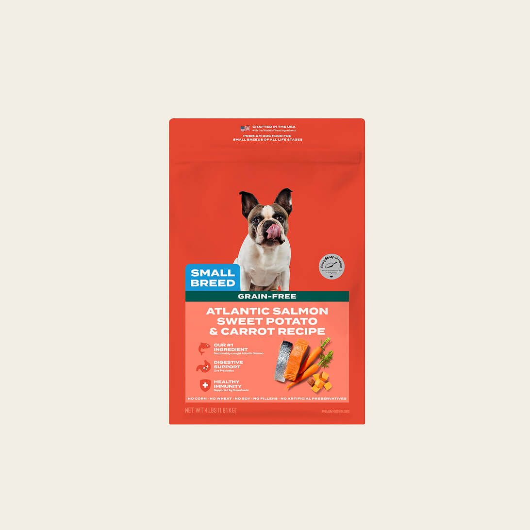 Small breed Grain-free Atlantic salmon dog food
